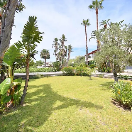 San Domenico Apartament Forio di Ischia