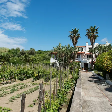 San Domenico Apartament Forio di Ischia