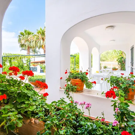 Apartment San Domenico Forio di Ischia