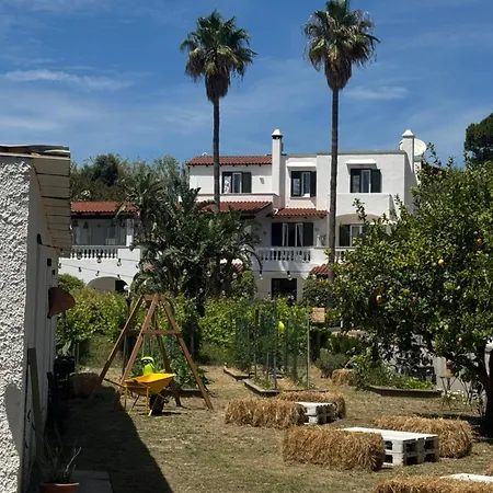 San Domenico